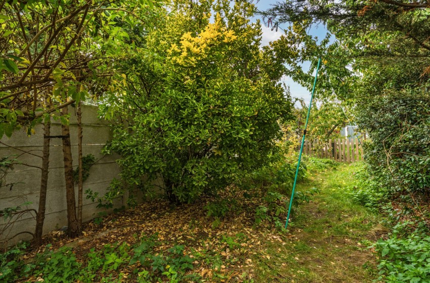 Images for Overton Road, London